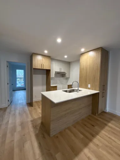 Projet neuf à Saint-Charles-Borromée-1