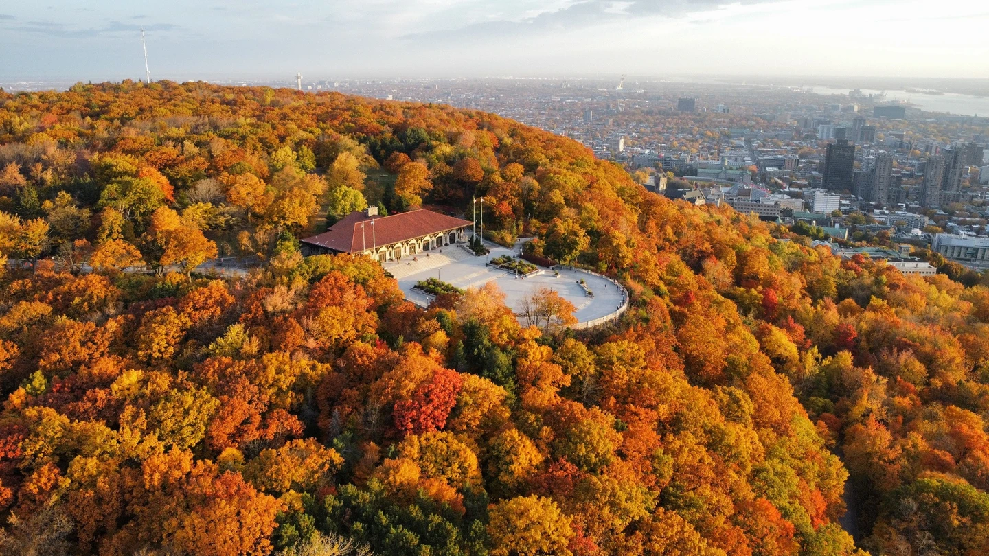 Montreal skyline beyond Mount Royal in fall colours