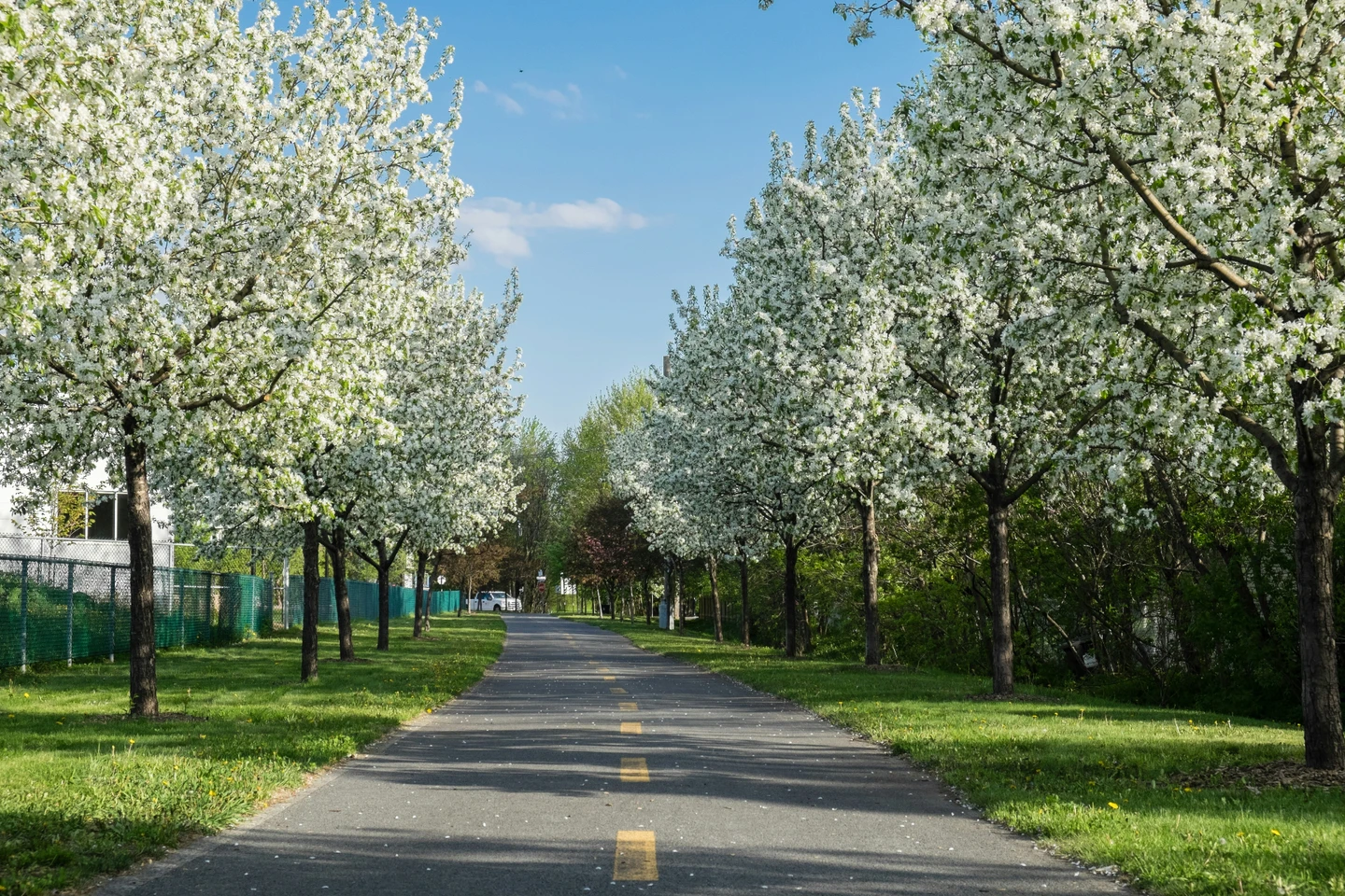 Bike path